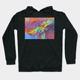 Macaw 2 Hoodie